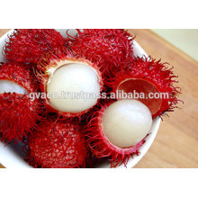 FRESH RAMBUTAN IN VIETNAM - HIGH QUALITY - BEST PRICE